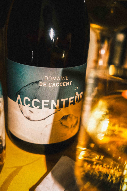 Accenteur Mont Baudile Blanc