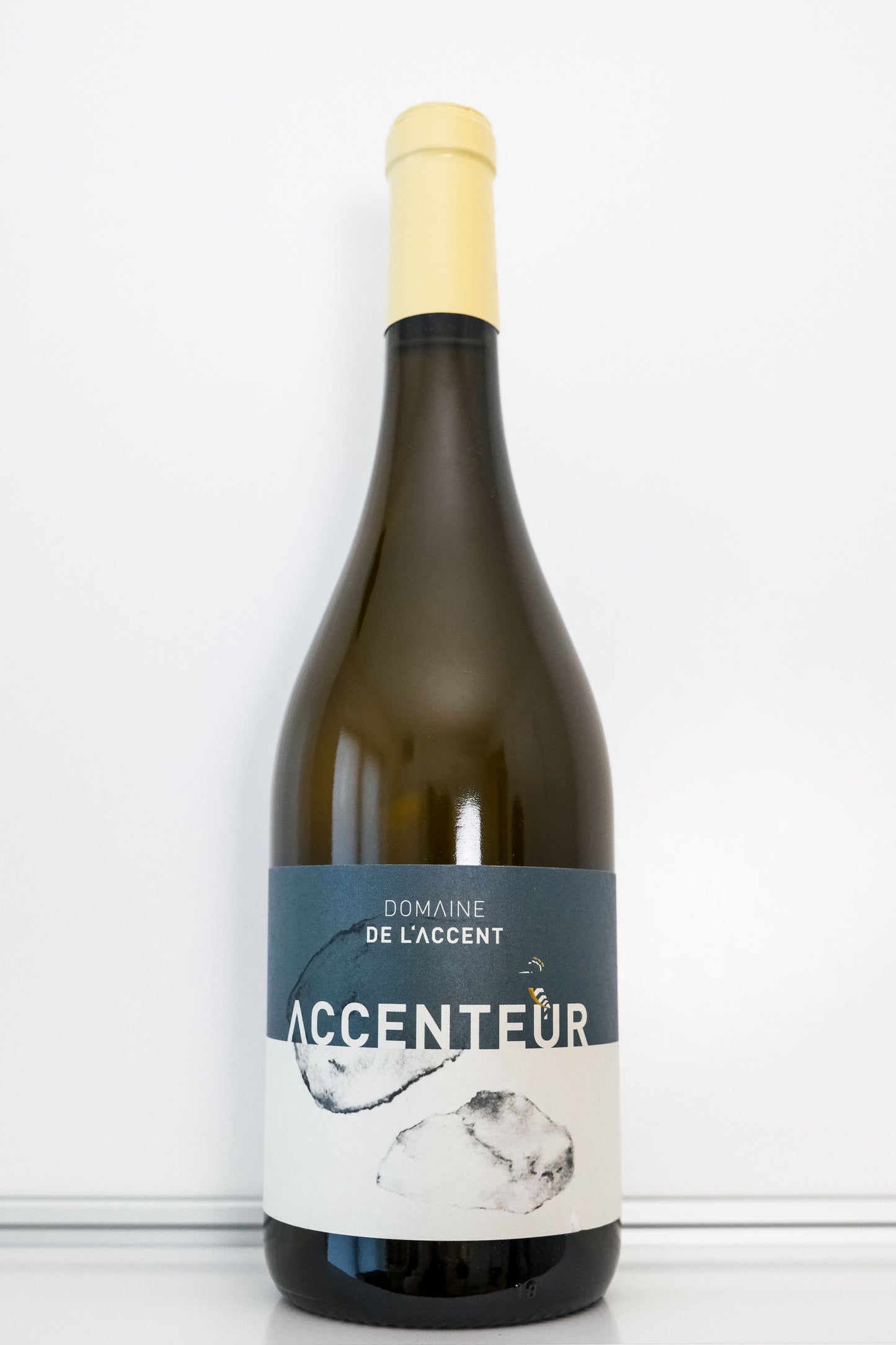 Accenteur Mont Baudile Blanc