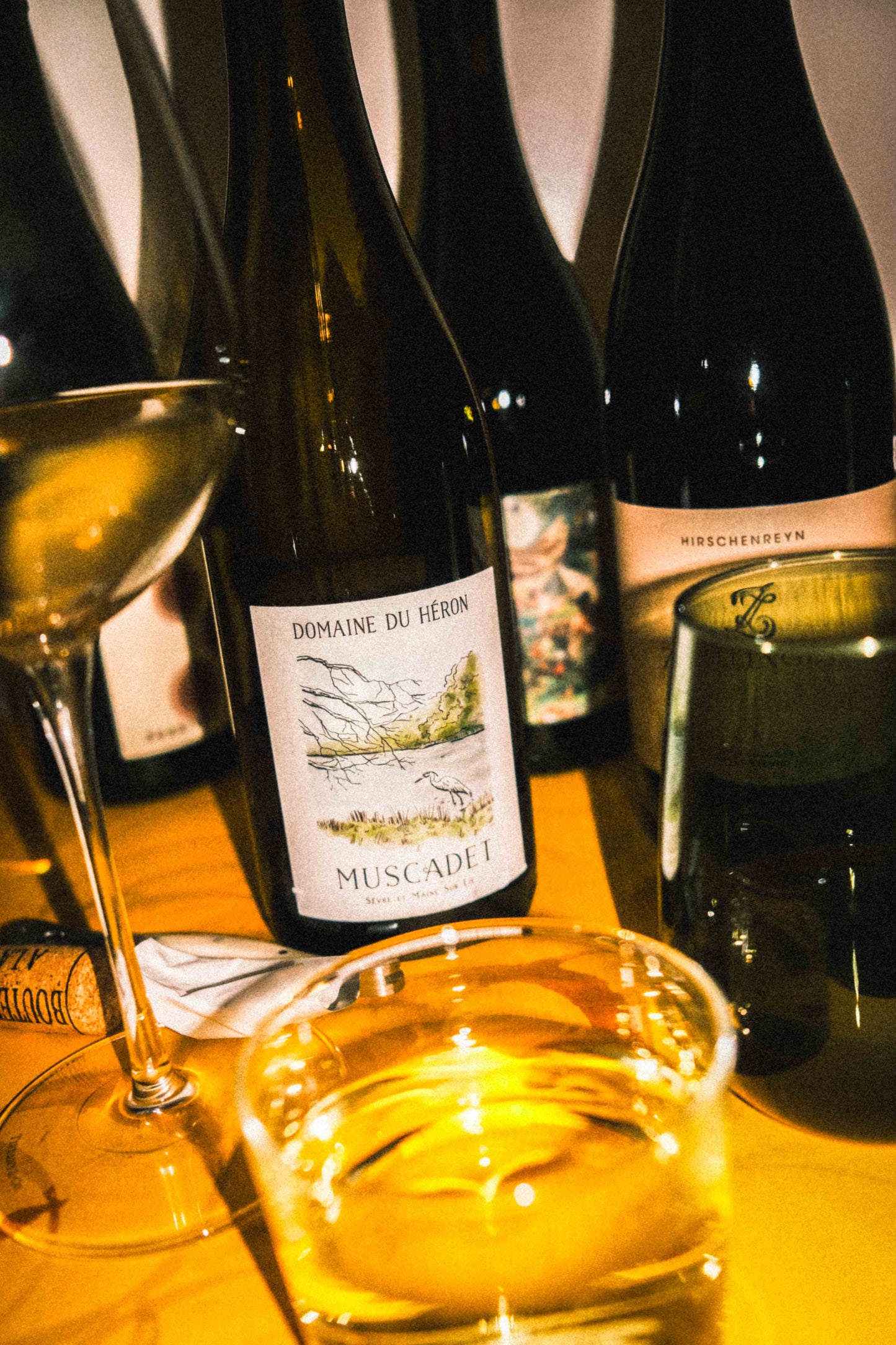 Muscadet Sèvre et Maine Sur Lie