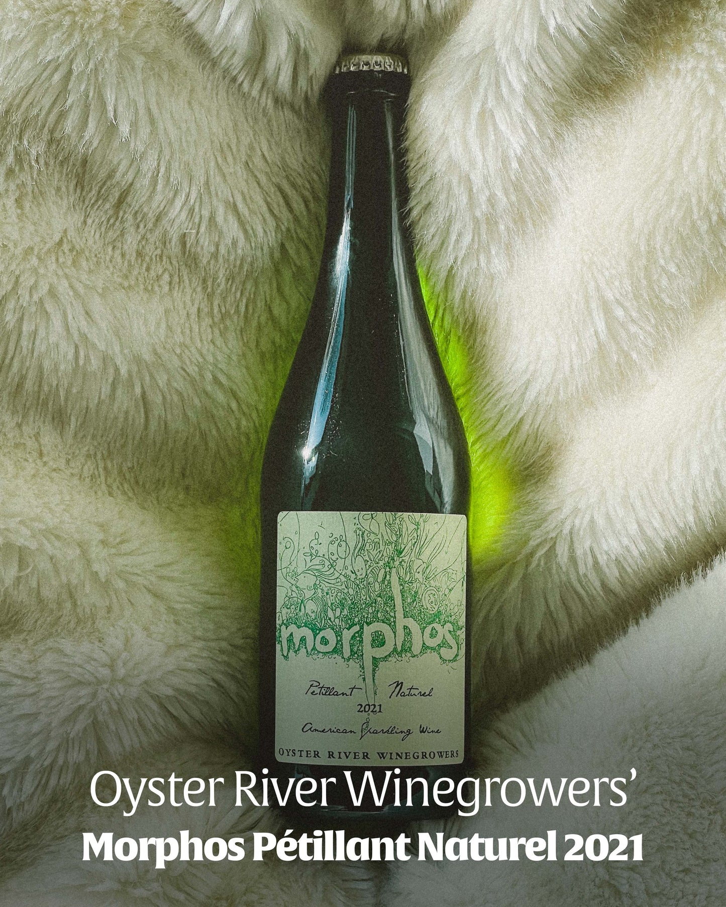 Morphos Pétillant Naturel